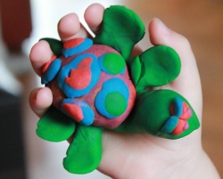 костенурката Име