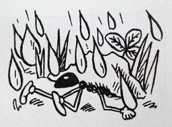 Фердо Мравката